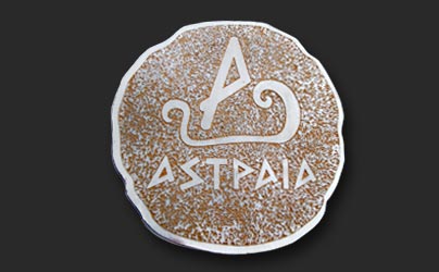 Metallic badge)